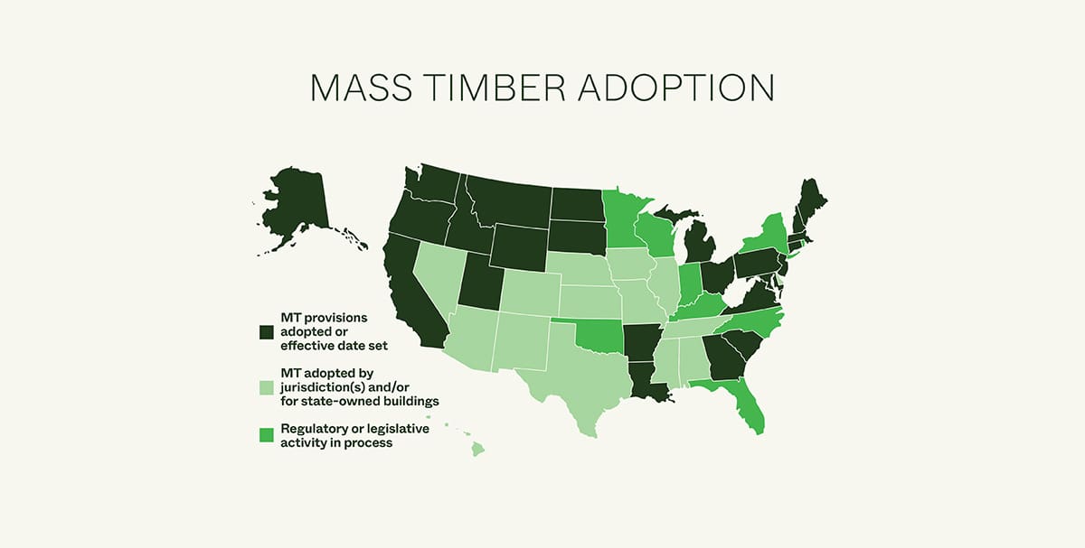 MT Adoption Featured